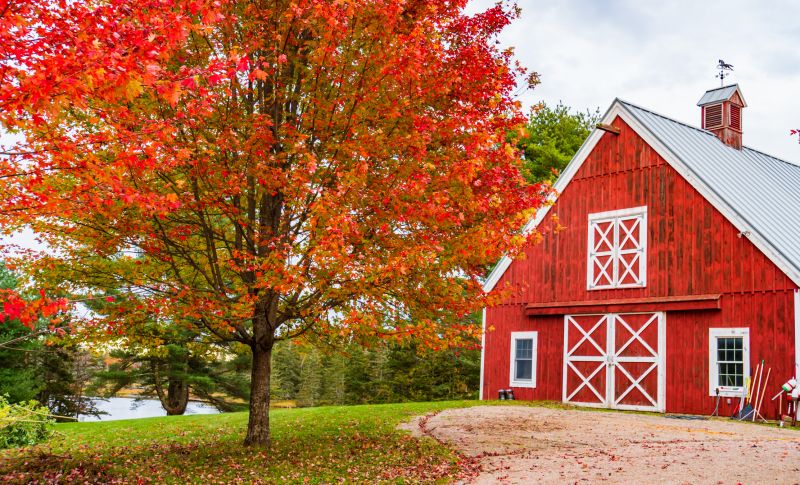 Barn Doors Painting in Arvada, CO