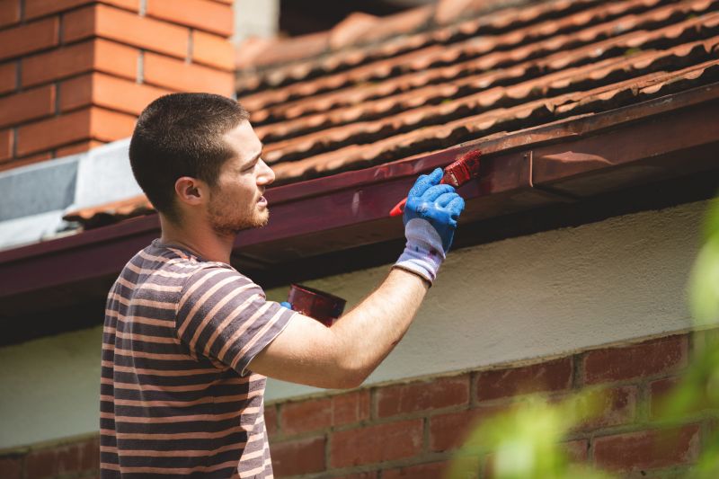 Chimney Painting in Fort Collins, CO